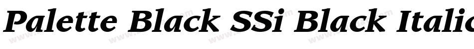 Palette Black SSi Black Italic字体转换